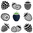 Blackberry icon collection - vector illustration