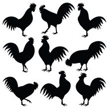 Rooster Vector Silhouette Collection - Chinese Symbol New Year