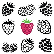 Raspberry Icon Collection - Vector Illustration