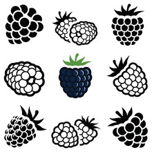 Blackberry Icon Collection - Vector Illustration