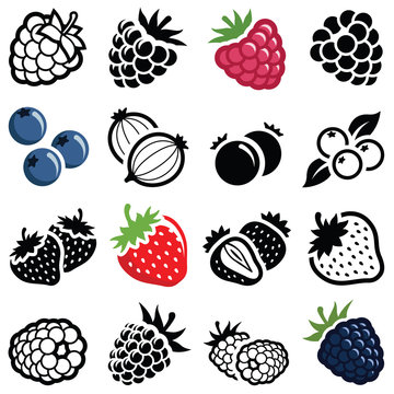 berry fruit icon collection - vector illustration