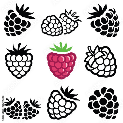 Cuadros en Lienzo Raspberry icon collection - vector illustration