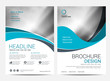 © tumindy - Brochure template flyer background for business design