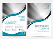 © tumindy - Brochure template flyer background for business design