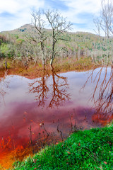 Wall Mural - Water pollution of cooper mine