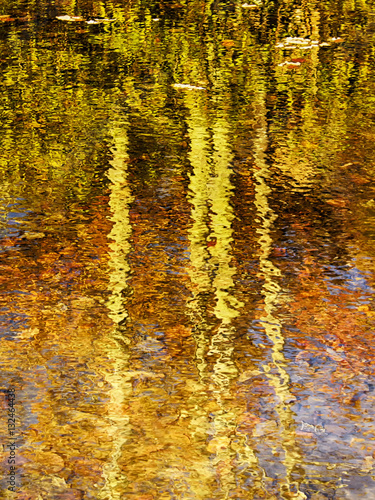 Naklejki Claude Monet  odbicie-jesiennych-drzew