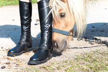 Curious Pony Smelling Young Girl Equestrian Boots.
