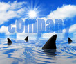 Sharks on a Sunny Day - company