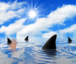 Sharks circling drowning man
