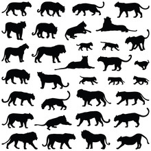 Big Cat Collection - Vector Silhouette