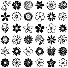 Flower Icon Collection - Vector Illustration 