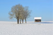 canvas print picture - Winterlandschaft
