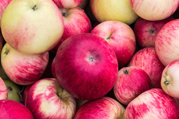 background of many beautiful, juicy red and green apples