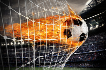 Wall Mural - Soccer fireball scores a goal on the net
