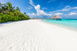 Wide sandy beach on a tropical island in Maldives. Palms and wat