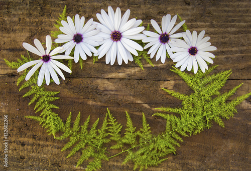 fondo de flores sobre madera