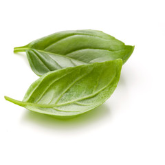 Sweet basil herb leaves isolated on white background closeup