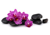 Fototapeta Panele - Zen pebbles and orchid flower. Stone spa and healthcare concept.