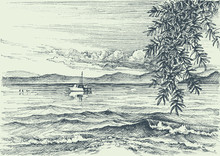 Calm Sea View Etching, An Olive Tree On Shore