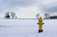 Fire Hydrant In Snow