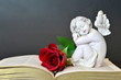 Sympathy card with sleeping angel and red rose on open book