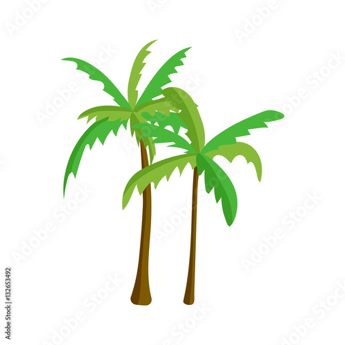 Palm tree isolated vector.