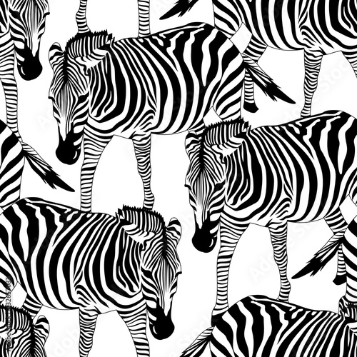 zebra-seamless-pattern-savannah-animal-ornament-wild-animal-texture-striped-black-and-white-design-trendy-fabric-texture-vector-illustration