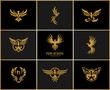 Phoenix - Eagle Logo Set