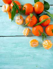 Poster - tangerines with green leaves on turquoise wooden background