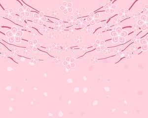 Wall Mural - Japanese cherry blossom vector background