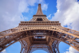 Fototapeta Paryż - The Eiffel tower, Paris France