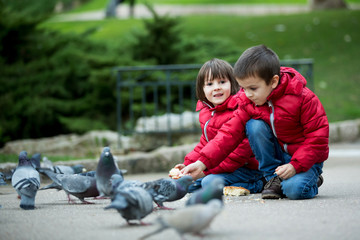 Two cute children, boy brothers, feeding pigeons in the park