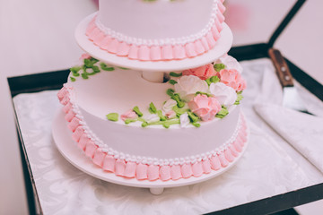 Wall Mural - Wedding ceremony. Bride and groom cutting cake.