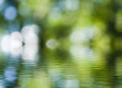 © cooperr - image of beautiful abstract natural background.