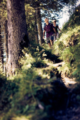 Wall Mural - Hiking Seniors in Forest