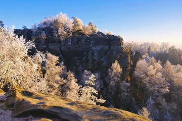 Poster - Elbsandsteingebirge im Winter  - Elbe sandstone mountains in winter