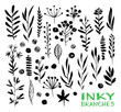 Vector black hand drawn botanical elements inky set, ink painted branches and leaves
