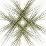 Fototapeta Dmuchawce - Abstract fractal with a gray pattern on a white background