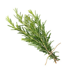 Wall Mural - fresh rosemary bunch