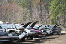 Row Of Junker Cars With Hoods Lifted In Rural Salvage Yard. Horizontal.