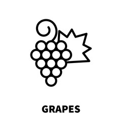 Wall Mural - Grapes icon or logo in modern line style.