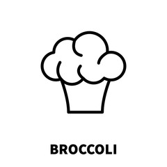 Poster - Broccoli icon or logo in modern line style.