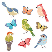 Set Of Colorful Birds And Butterflies Isolated On White Background.