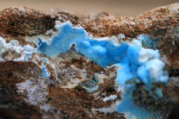 Wall Mural - abstract chalcedony mineral texture