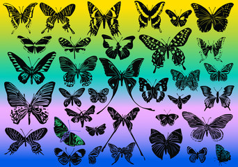 Sticker - different black butterflies on color background