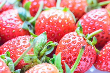 Wall Mural - Strawberry. Fresh strawberry. Red strewberry.