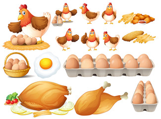Wall Mural - chicken and different types of chicken products