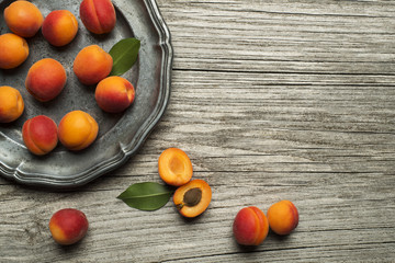 Wall Mural - Apricot