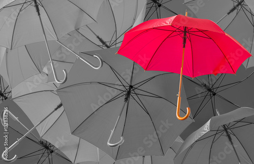 Plakat na zamówienie parasol rouge sur fond de parapluies en noir et blanc 