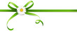 Grüne Schleife mit Margeriten Blüte - Horizontal